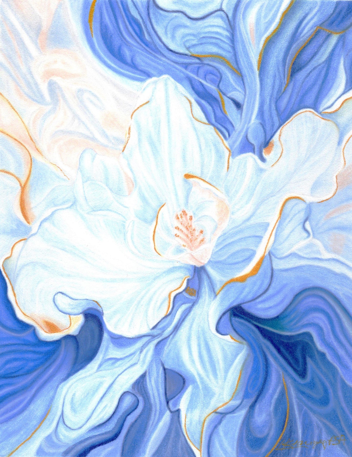 Petals of the Tide